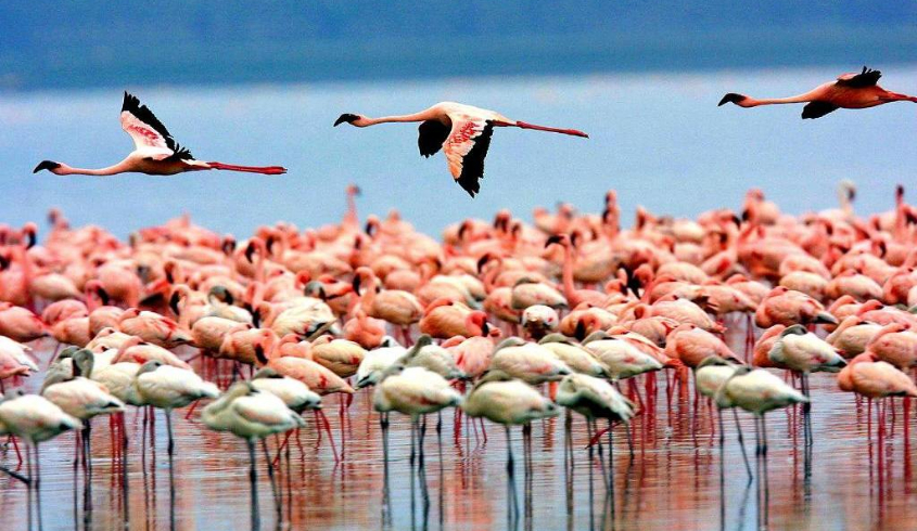 Lake Manyara